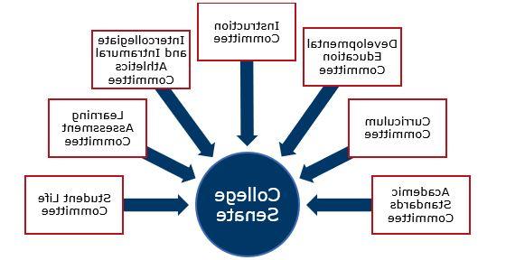 大学参议院 Standing Committees include 学术标准 Committee, 课程委员会, 发展教育 Committee, 指导委员会, Intercollegiate and Intramural Athletics Committee, 学习评估 Committee and 学生生活 Committee.